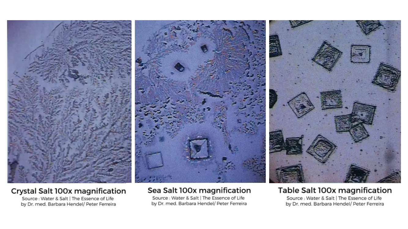 How Is Table salt processed? SafeSalt Australia