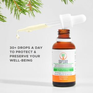 fountain of life promotional photo