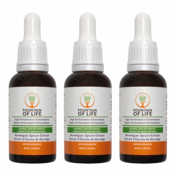 fountain-of-life-3-bottle-pack fountain of life 3 bottle pack