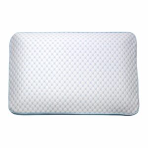 odyssey living pillow front odyssey living pillow front